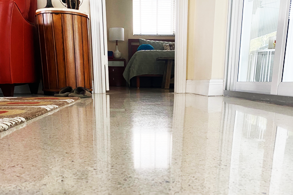 Floor Restoration Service