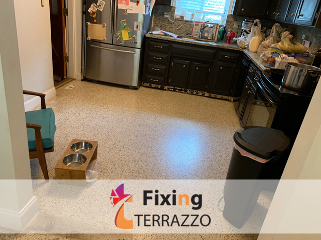Terrazzo Floor Restoration Miami